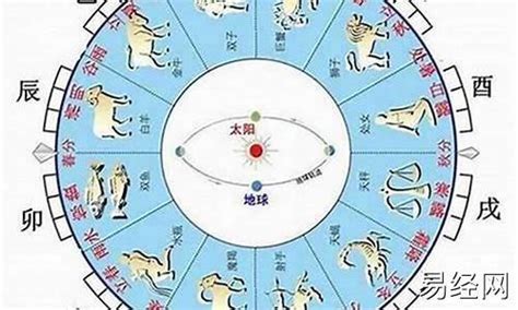 1963年是什么兔|1963年属兔的是什么命，63年出生的兔五行属什么